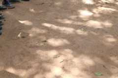 IMG-20220616-WA0420